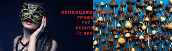 мяу мяу кристалл Дмитров