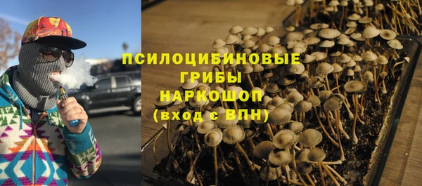 прущий лед Дмитровск