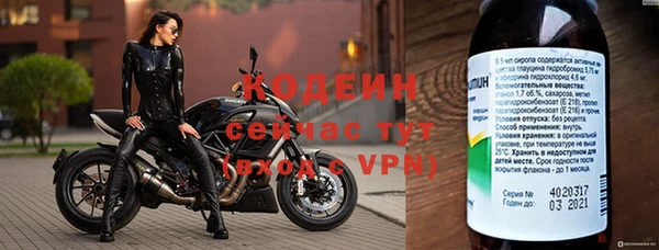 мет Елизово